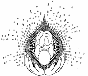 Logo Schwangerenyoga
